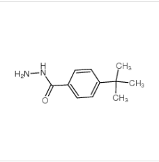 對叔丁基苯甲酰肼|43100-38-5 
