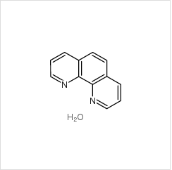 鄰菲羅啉|5144-89-8 