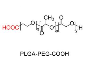 聚乳酸-羥基乙酸共聚物聚乙二醇羧基，聚乳酸-羥基乙酸共聚物PEG羧基PLGA-PEG-COOH 