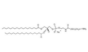 膽固醇聚乙二醇氨基，膽固醇PEG氨基Cholesterol-PEG-Amine，CLS-PEG-NH2 
