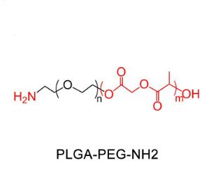 聚乳酸-羥基乙酸共聚物聚乙二醇氨基，聚乳酸-羥基乙酸共聚物PEG氨基PLGA-PEG-NH2，PLGA-PEG-Amine 