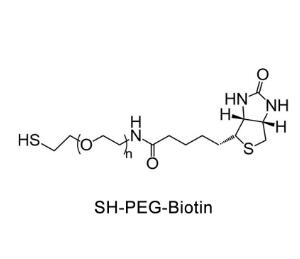生物素聚乙二醇巰基，生物素PEG巰基Biotin-PEG-Thiol，Biotin-PEG-SH 
