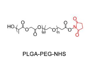 聚乳酸-羥基乙酸共聚物PEG活性酯PLGA-PEG-SCM，PLGA-PEG-NHS；聚乳酸-羥基乙酸共聚物聚乙二醇活性酯 