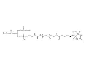 二油酰磷脂酰乙醇胺PEG生物素DOPE-PEG-BIOTIN；二油酰磷脂酰乙醇胺聚乙二醇生物素 