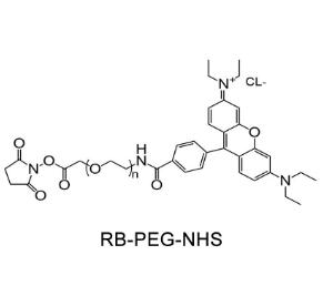 羅丹明PEG活性酯Rhodamine PEG NHS, RB-PEG-SCM；羅丹明聚乙二醇活性酯 