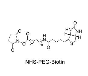生物素PEG活性酯Biotin-PEG-NHS，Biotin-PEG-SCM；生物素聚乙二醇活性酯 