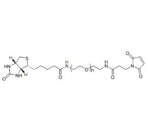 生物素PEG馬來(lái)酰亞胺Biotin-PEG-Maleimide，Biotin-PEG-MAL,;生物素聚乙二醇馬來(lái)酰亞胺 
