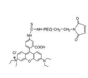 羅丹明PEG馬來(lái)酰亞胺Rhodamine PEG Maleimide, RB-PEG-MAL,;羅丹明聚乙二醇馬來(lái)酰亞胺 