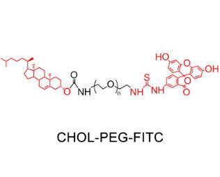 熒光素PEG膽固醇FITC-PEG-Cholesterol，F(xiàn)ITC-PEG-CLS,熒光素聚乙二醇膽固醇 