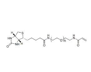 丙烯酰胺PEG生物素AcA-PEG-BIOTIN，ACA-PEG-BIOTIN,丙烯酰胺聚乙二醇生物素 