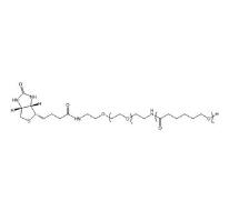 聚己內(nèi)酯PEG生物素PCL-PEG-BIOTIN，PCL-PEG-BIOTIN,聚己內(nèi)酯聚乙二醇生物素 