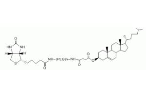 膽固醇PEG生物素Cholesterol-PEG-BIOTIN，CLS-PEG-BIOTIN,膽固醇聚乙二醇生物素 